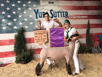 Sunrise Sheep Co Winners