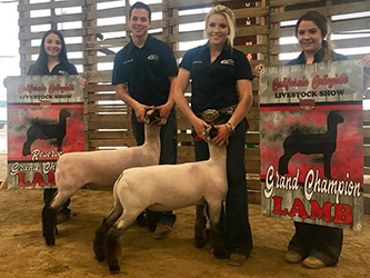 Sunrise Sheep Co Winners