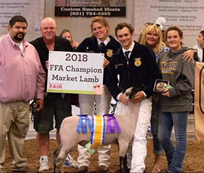 Sunrise Sheep Co Winners
